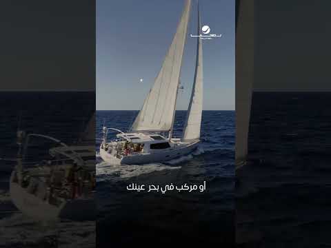 ليتني بدر بسماك يضوى في عتمة سنينك ❤️ #ليتني_طير thumbnail