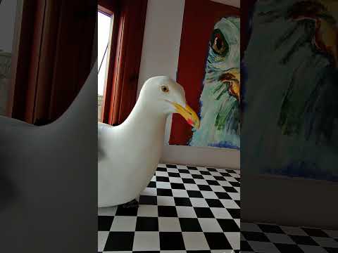 My Pet Seagull Steals His Food! thumbnail