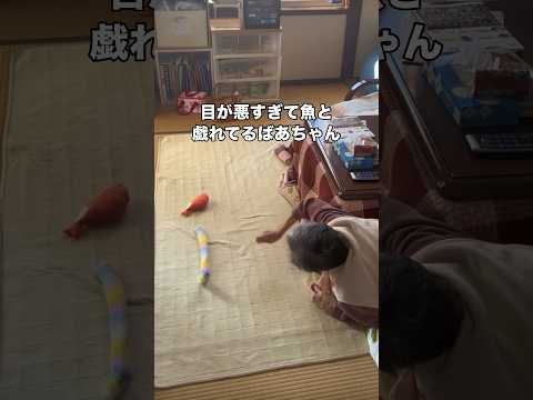 本気で見間違えていたらしい #猫 #おばあちゃん #おばあちゃんと猫 #shorts thumbnail