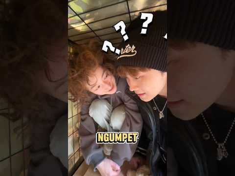 Ngumpet di Kandang Anjing?! Endingnya Bikin Malu ? thumbnail