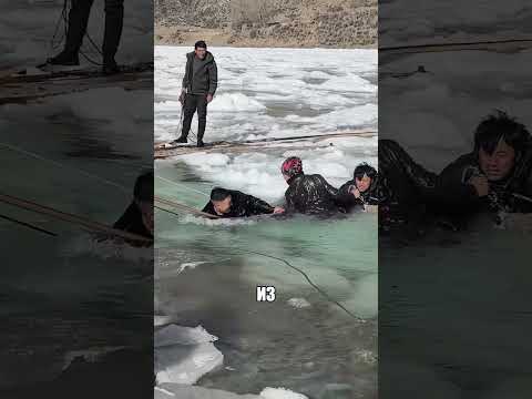 Зачем трое мужиков поползли ПО ХРУПКОМУ ЛЬДУ🤯🔥🦌 thumbnail