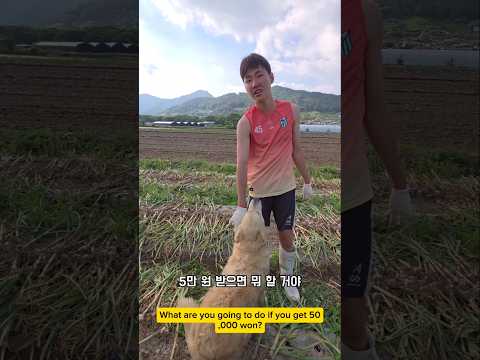 고딩 마늘뽑아 용돈벌어 어디쓸까? #남해 #몽실이 #강아지 #반려견 #고등학생 #마늘 #아르바이트 thumbnail