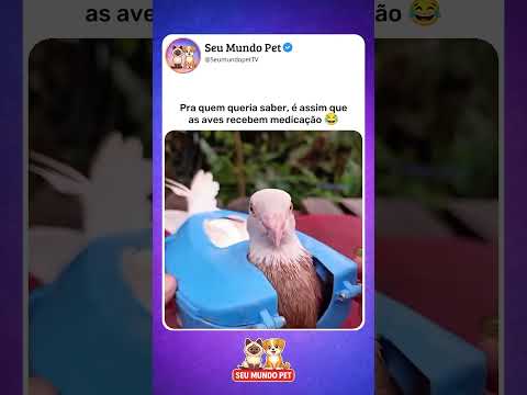 Você sabia disso? 🤣 #animal #br #brasil #shortsvideo #cachorro #gato #humorbrasil  #animalshorts thumbnail