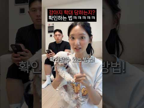 강아지 학대 당하는지? 바로 확인하는 법ㅋㅋㅋㅋㅋ thumbnail