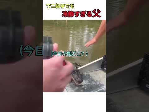 ワニ相手でも冷静すぎる父 thumbnail
