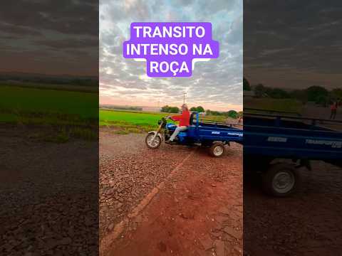 TRANSITO NA ROÇA thumbnail