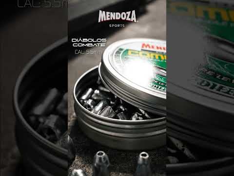 Lo mejor en tiro deportivo está en Mendoza thumbnail
