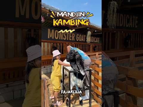 MANDIIN KAMBING #dramangakak thumbnail