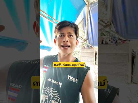 คนจุ๊บกับแมงมุมยักษ์แบบนี้ก็ได้ด้วยเหรอ,??? #บังเอิญเจอ #funny #comedy #การแสดงเท่านั้น thumbnail