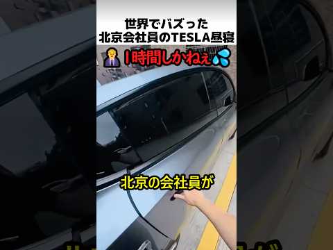 北京会社員のテスラ昼寝方法 thumbnail