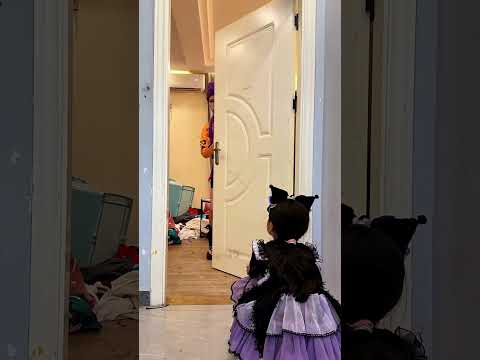 为什么这么乱，原来是有小猫咪🐱 #funny #路飞 #海贼王 thumbnail
