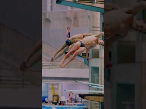 Diving thumbnail