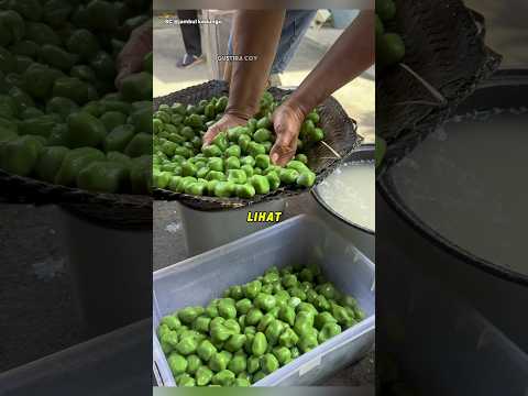 Bule Eropa Rela Datang ke Indonesia Demi Makanan ini thumbnail