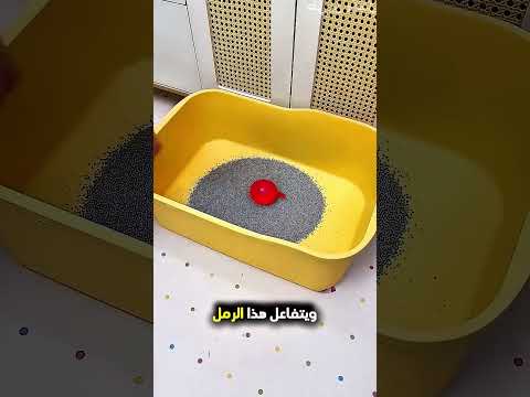 هذا الرجل يصنع بيت لقطته...!#shorts #shortvideo #shortsfeed #اسلاميات thumbnail