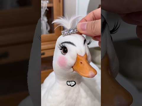 Fakta Lucu Tentang Call Duck yang Jarang Diketahui thumbnail
