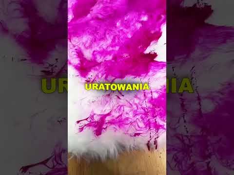 Przetestował ten dywan 😨 thumbnail