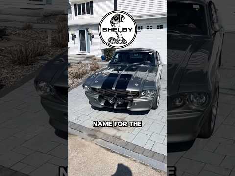 Why No New Shelby Mustang? thumbnail