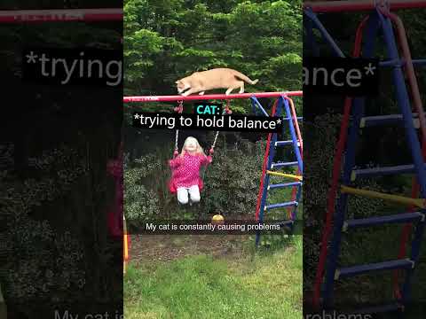 This Cat Lost Its Balance And Fell 😳 (hellodutch /IG) thumbnail