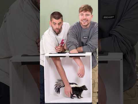 Guess The Animal thumbnail