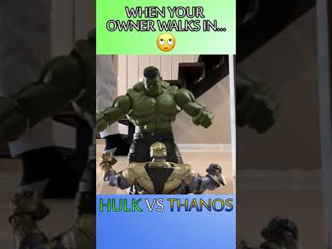 HULK vs THANOS when your owner walks in #Shorts thumbnail