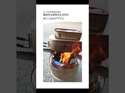【2ちゃんねる】Amazonの段ボールを燃料にしてやった【アフレコ】 thumbnail