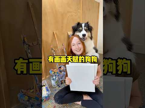 这只狗狗天生就是名画家！#shorts #短视频 #趣事 #有趣 thumbnail