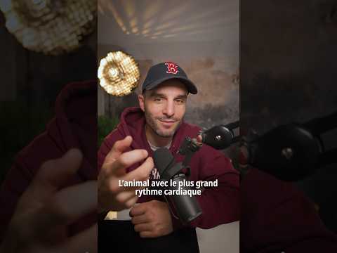 L’animal avec le plus grand rythme cardiaque ! #shorts thumbnail