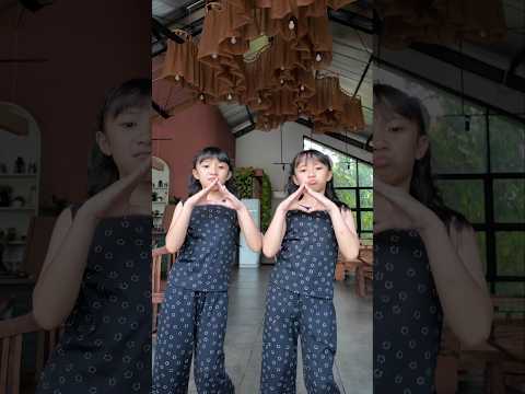Coba bikin Video Dance Brazil ini bareng temen kamu!! #kembar #dance #trends #jogetviral #shorts thumbnail