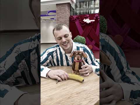 ВАНЯ БЕЗ ЧАПИТОСИКА НИКУДА♥️♥️♥️ thumbnail