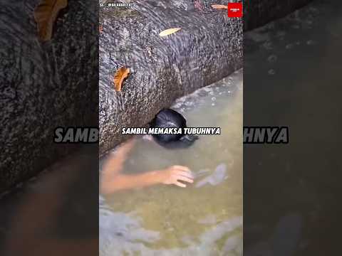 BERUBAH WUJUD! thumbnail