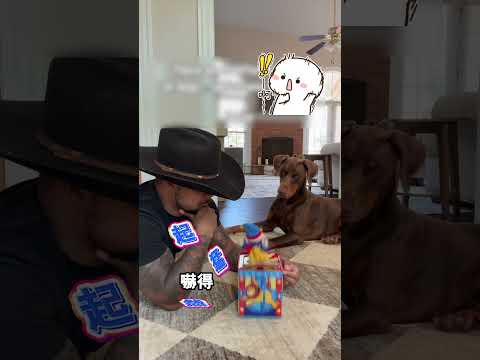 解鎖小狗截然不同的性格 thumbnail