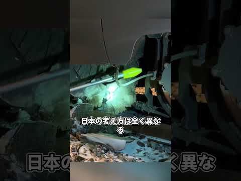 ドイツ鉄道が日本新幹線を圧倒すると豪語したが雪で麻痺した末路やばすぎる thumbnail
