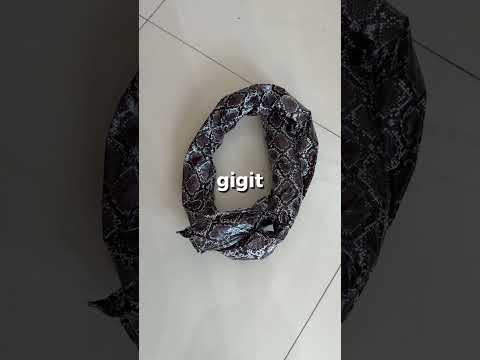 kaget banget ada ular thumbnail