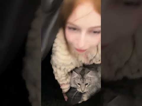 冬天暖和的秘诀 被窝里的两个小宝宝#情侣日常 thumbnail