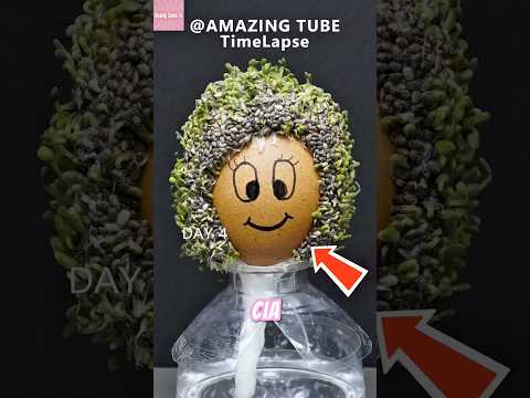 Tanam Biji Chia 60 Hari… Hasilnya Jadi Apa?! thumbnail