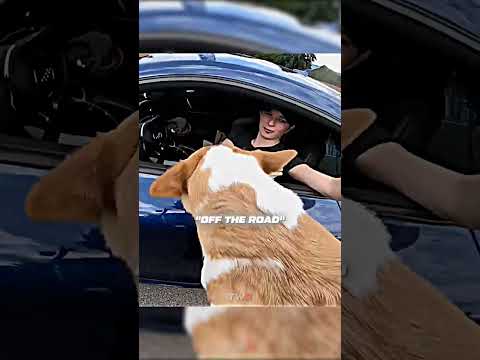 Biker Saves Dog in the Middle of the Street ❤️‍🩹 thumbnail