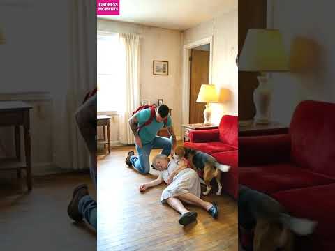 kindness dog 🐶 dramatic balcony rescue for elderly neighbor #kindness #doghero #shorts thumbnail