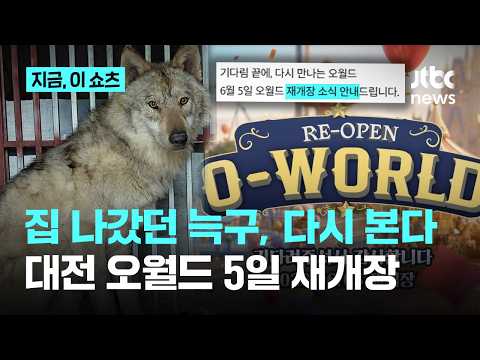 '가출 늑대' 늑구, 두 달여 만에 다시 만난다…대전 오월드 5일 재개장｜지금 이 쇼츠 thumbnail