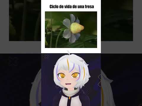 Ciclo de Vida de una Fresa thumbnail