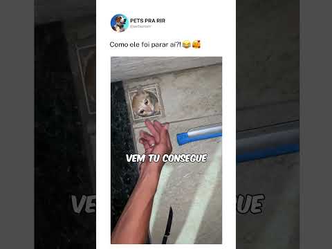 Como aconteceu ???? thumbnail