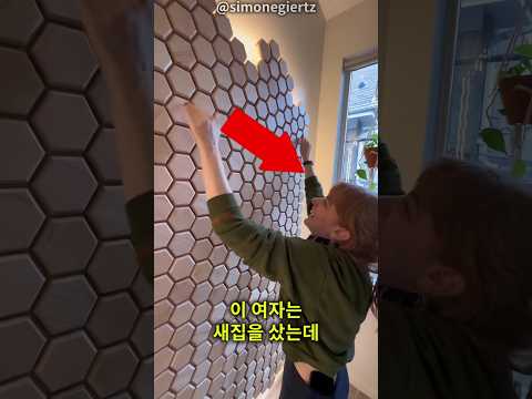 그녀는 벽 뒤에 무엇이 있을지  예상하지 못했다 thumbnail
