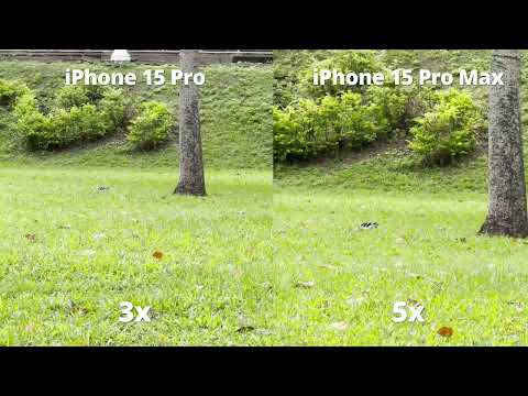 iPhone 15 Pro vs iPhone 15 Pro Max 4k/60fps_Zoom test in Day thumbnail