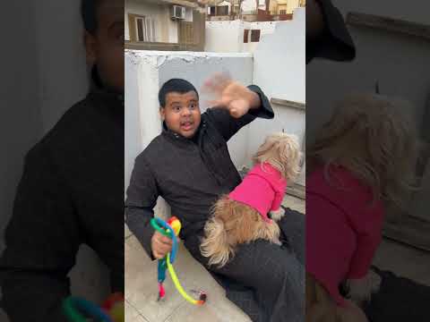انقاذ الكتكوت? thumbnail