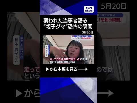 【ニュース】各地で“親子グマ”　襲われた当事者語る「恐怖の瞬間」 #shorts thumbnail