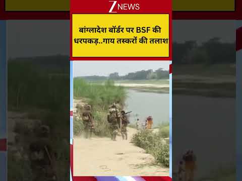 Breaking: बांग्लादेश बॉर्डर पर BSF की धरपकड़..गाय तस्करों की तलाश thumbnail
