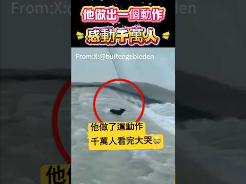 他做出一個動作！感動千萬人🫣 #動作 #狗#shorts 小林Lin’s life thumbnail
