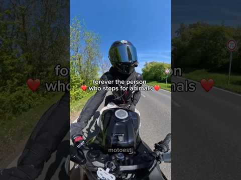 People with heart ❤️ #fyp #viral #animals #motorcycle #explore thumbnail