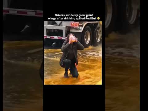 Drivers suddenly grow giant wings after drinking spilled Red Bull ? thumbnail
