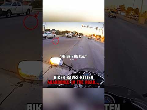 Biker SAVES KITTEN abandoned in the road‼️? thumbnail