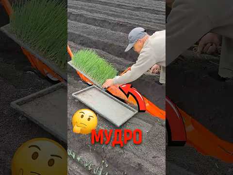 🌱 Умная посадка по японски! #фермерство #япония #посадкарастений thumbnail